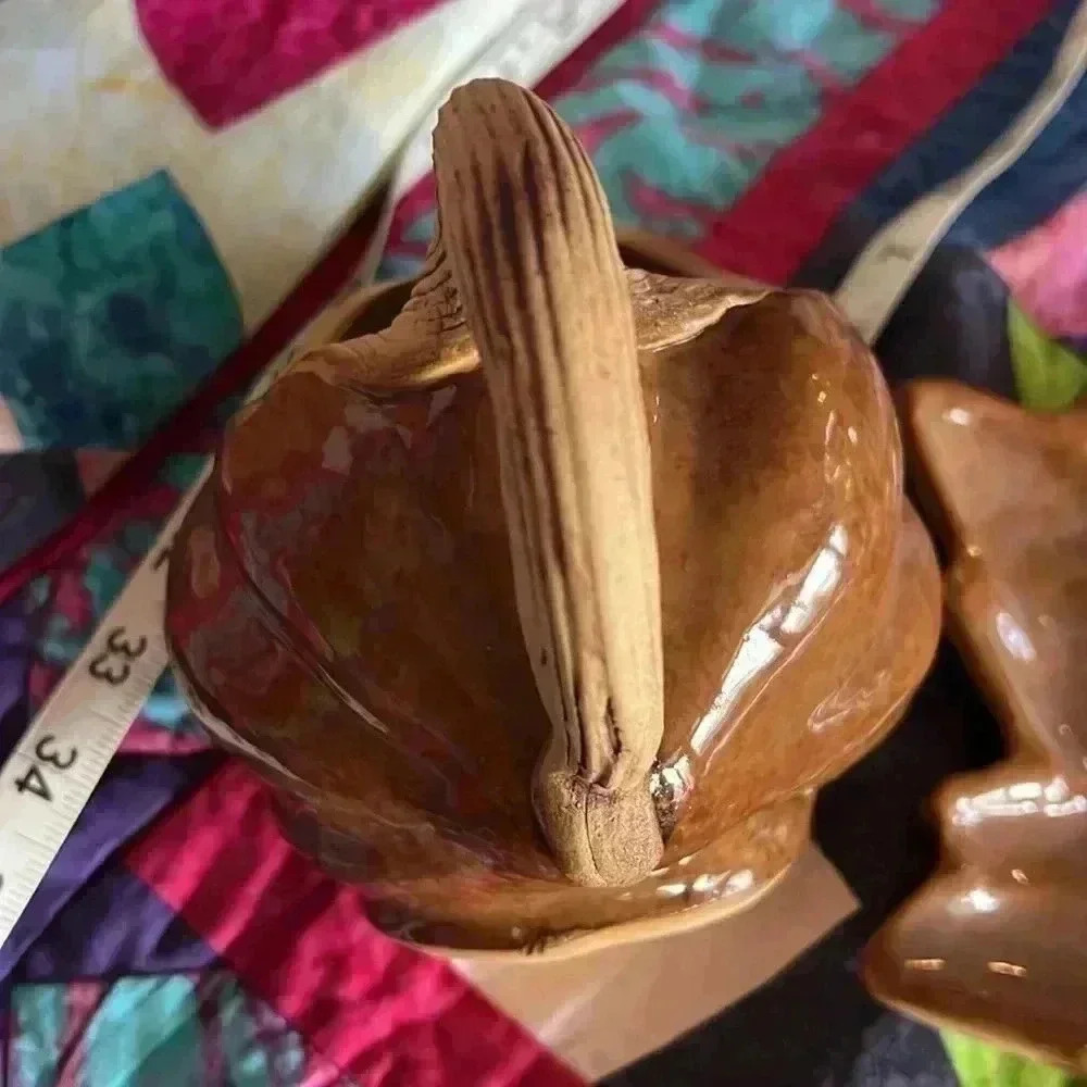 NWOT Terrafirma Ceramics NYC Sauceboat & tray Ellen Evans Signed 2010 Maple HTF - Picture 10 of 10